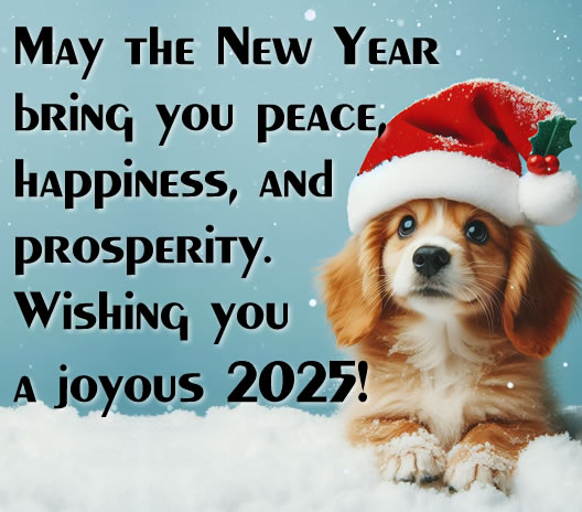 image of a sweet little dog with a bird on his head and lots of snow with a Merry Christmas message