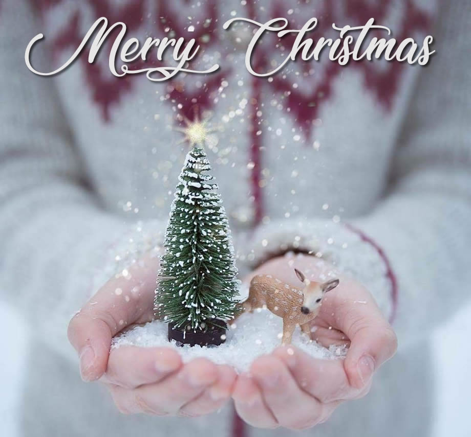 image of a girl holding a Christmas tree with a small deer in a snowy landscape