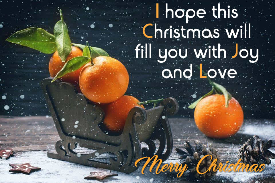 Image with greeting text : I hope this Christmas will fill you with joy and love